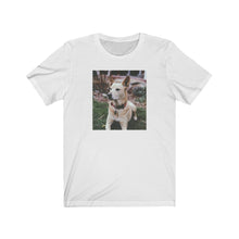 Load image into Gallery viewer, Dingo tee
