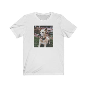 Dingo tee