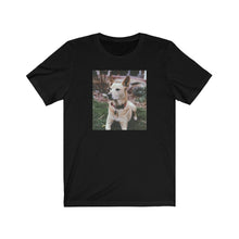 Load image into Gallery viewer, Dingo tee
