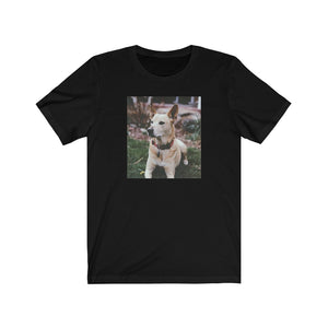 Dingo tee